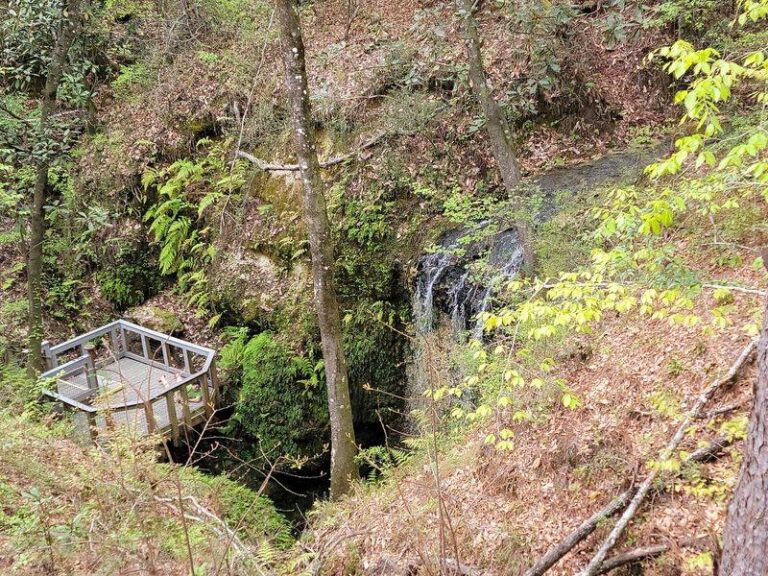 This Florida State Park Sends the State’s Tallest Waterfall Plunging Into a Sinkhole a Short Walk From the Lot