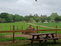 This Family-Run Mississippi Farm Scoops Its Own Fresh Ice Cream and Lets You Feed the Goats Out Back