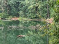 In Washington A Quiet State Park Sets A Sandy Swimming Beach, Lakeside Trails, And Trout Fishing Around A Deep Volcanic Lake