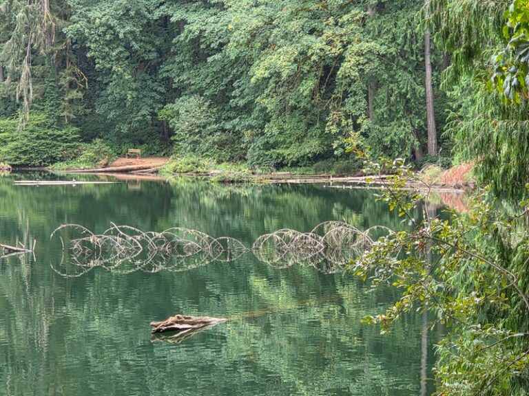 In Washington A Quiet State Park Sets A Sandy Swimming Beach, Lakeside Trails, And Trout Fishing Around A Deep Volcanic Lake