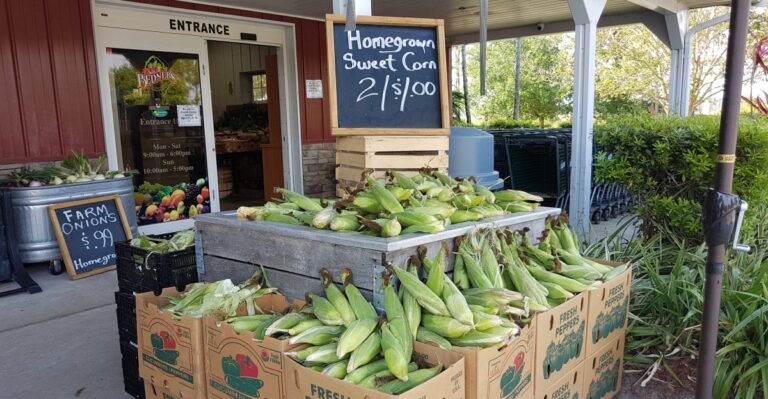 These 8 Florida Farm Stands Sell The Sweet Corn And Tomatoes Locals Swear By