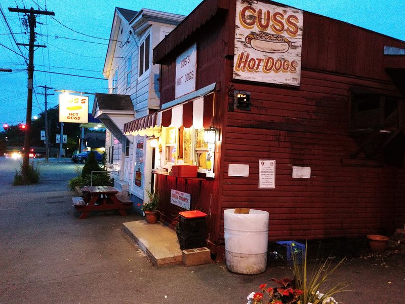 Locals Line Up For The Chili Dogs At Gus’s Hotdogs, A Walk-Up Stand In Watervliet