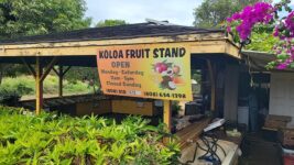 6 Hawaii Roadside Stands Where You Grab Fresh Coconut Water Straight From The Husk