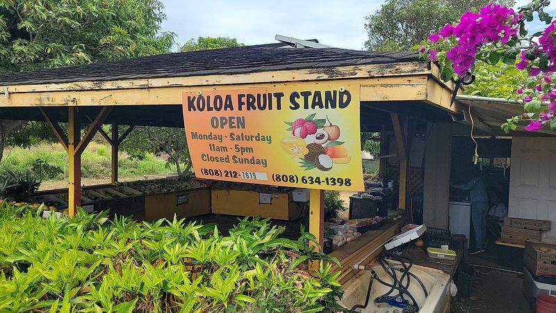 6 Hawaii Roadside Stands Where You Grab Fresh Coconut Water Straight From The Husk