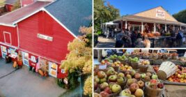 Seven New Jersey Farm Stands Where You Can Pick Apples And Grab Fresh Cider Doughnuts This Fall