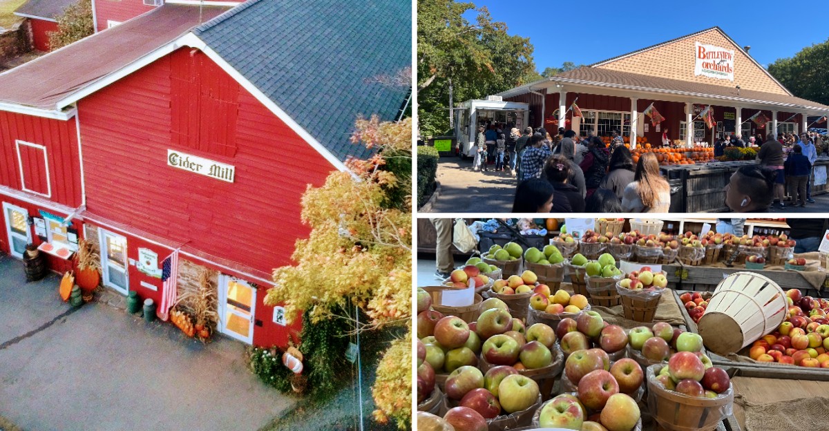 Seven New Jersey Farm Stands Where You Can Pick Apples And Grab Fresh Cider Doughnuts This Fall