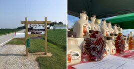 You’ll Want To Pull Over For The Maple Syrup At These 6 Ohio Sugar Farms