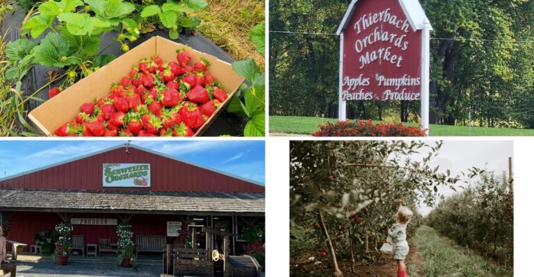 7 Missouri Farm Stores Where You Fill Your Basket With Just-Picked Produce And Fresh Cider
