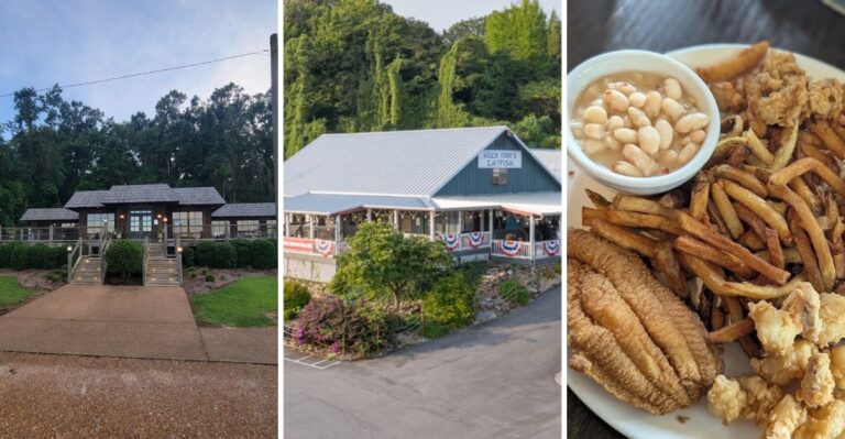 These 8 Tennessee Catfish Houses Fry Up The Plates Locals Drive For