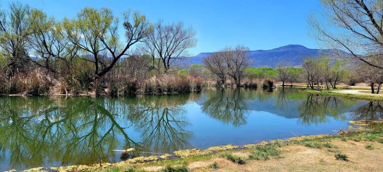 Retirees Are Discovering That Cottonwood Still Offers Small-Town Quiet Near Sedona Without Sedona Prices