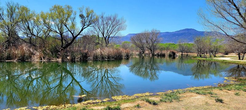 Retirees Are Discovering That Cottonwood Still Offers Small-Town Quiet Near Sedona Without Sedona Prices