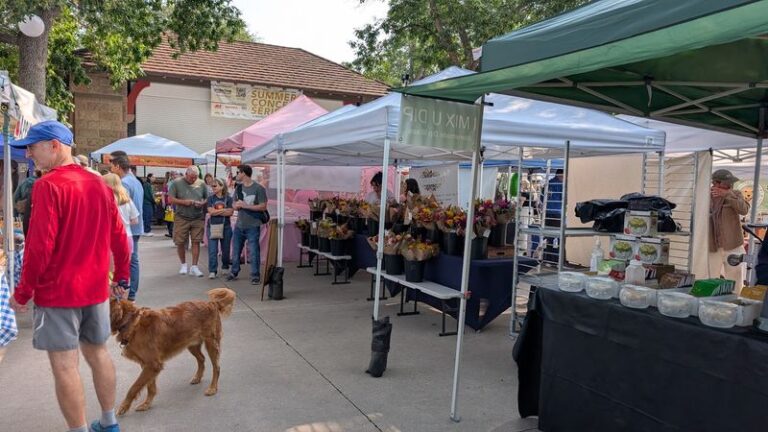 These 9 Colorado Farmers Markets Overflow With Fresh Produce Worth Getting Up Early For