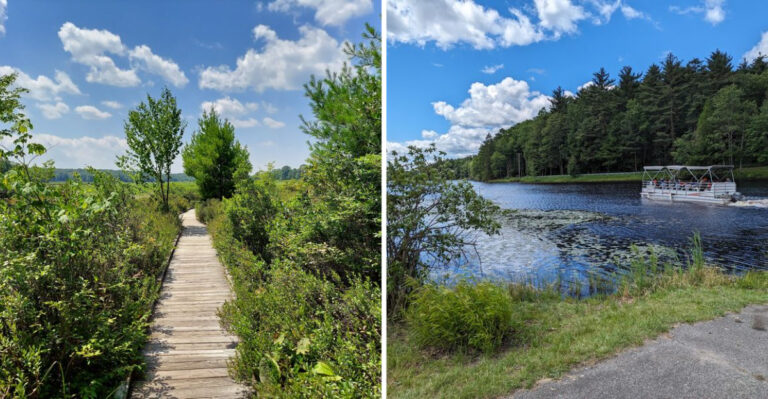 Wander The Boardwalk Trails Through This Hidden Pennsylvania Bog Wilderness