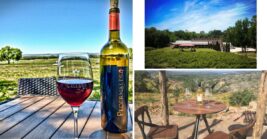 These 6 Texas Wineries Pour Tastings On Porches Overlooking The Vineyard Rows
