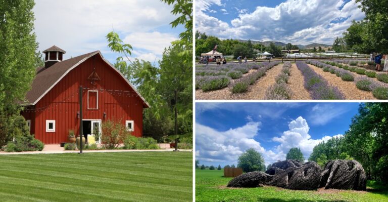 Pumpkin Patches, Corn Mazes And Hayrides Fill The Weekends At This Family Farm In Littleton