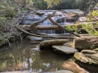 This South Carolina State Park Hides Multiple Waterfalls Along One Easy, Shaded Trail