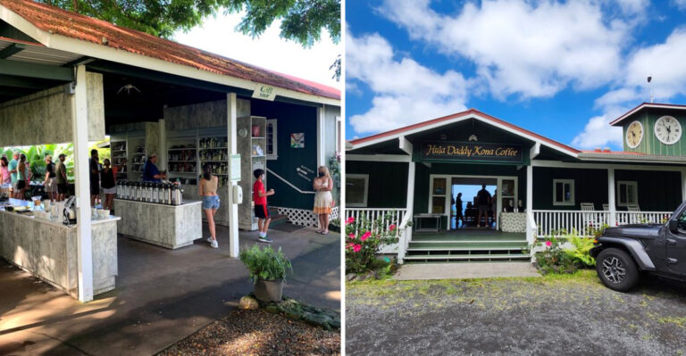 These 7 Hawaii Coffee Shacks Pour Single-Origin Kona Worth Getting Out Of Bed For