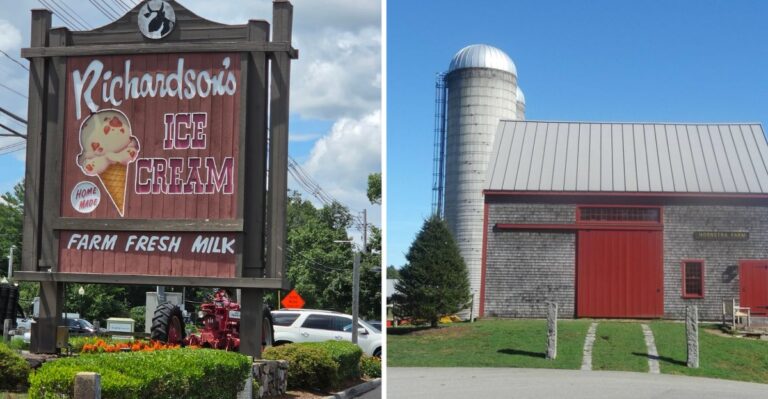 Five Massachusetts Ice Cream Farms Where You Scoop A Cone Beside The Cows