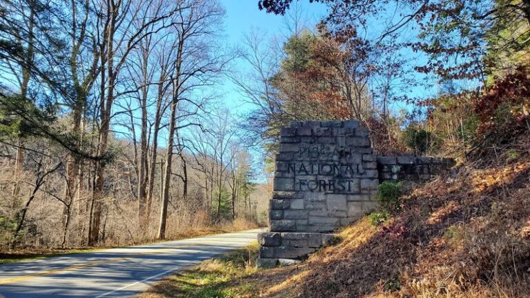 Fall Colors Peak Soon, So Plan A Scenic Drive Along These 5 North Carolina Mountain Roads