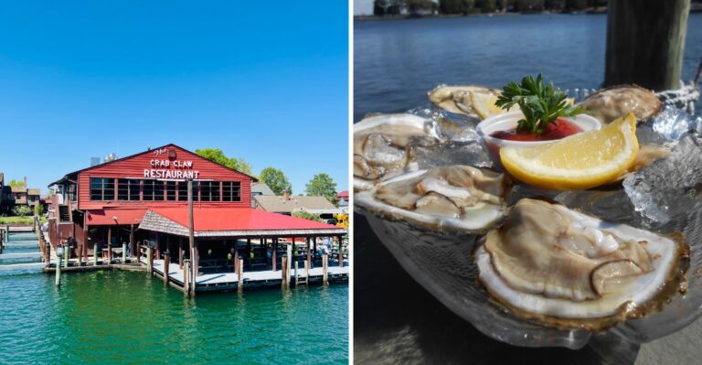 You Can Eat Oysters Right On The Dock At This St. Michaels Crab House