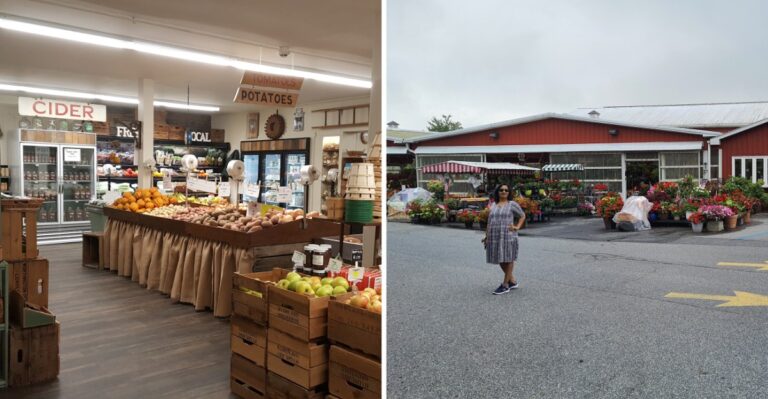 Fall Foliage Is Peaking Soon At These 7 Pennsylvania Orchards With Apple Picking And Cider Donuts