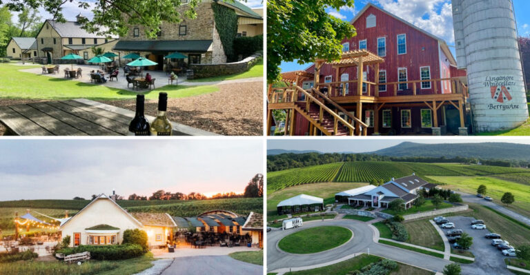 These 7 Maryland Wineries Sit On Rolling Hills Where You Can Sip All Afternoon