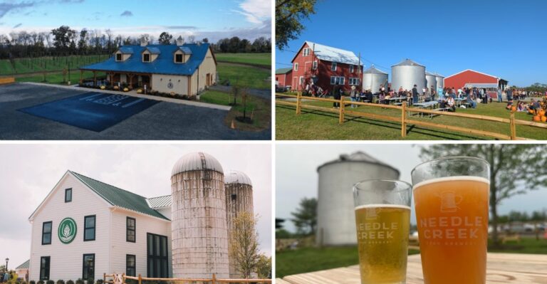 Seven New Jersey Farm Breweries Pour Pints Beside The Fields