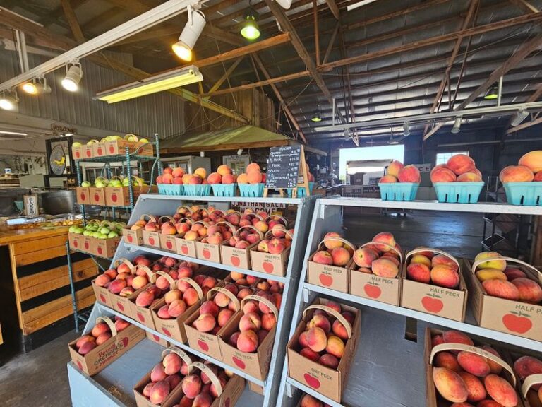You Can Fill A Whole Basket With Peaches At These 7 Missouri Orchards