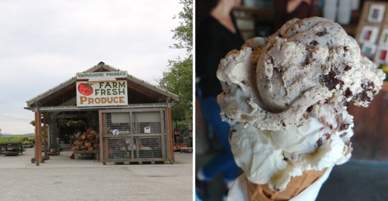 Grab A Scoop Of Marionberry Ice Cream At This Family Creamery Near Mount Vernon