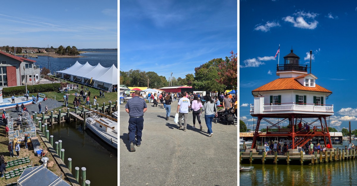 Fall Is When These 8 Maryland Oyster Festival And Roast Spots Finally Fire Up