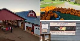 You’ll Find Virginia’s Best Apple Butter At These 7 Mountain Orchards Come Fall