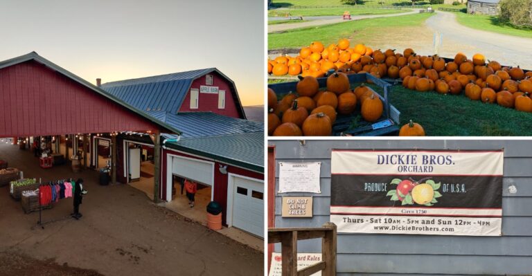 You’ll Find Virginia’s Best Apple Butter At These 7 Mountain Orchards Come Fall