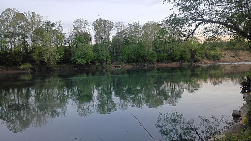 Cast A Line Below The Dam At This Kentucky Tailwater Famous For Trophy Trout