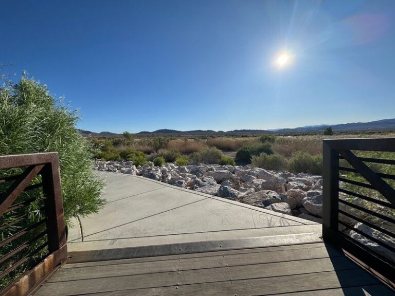 You Can Wander A Living Desert Garden Of Cacti And Blooms At This Henderson Preserve