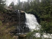 This Maryland Waterfall Plunges 53 Feet Through a Forested River Gorge Just a Short Walk From the Parking Lot