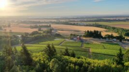 These 7 Oregon Wineries Let You Sip Pinot Noir With Valley Views Rolling Out Below You