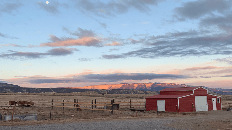 This Family-Run Colorado Dairy Bottles 100% Real Milk From Its Own Herd and Welcomes You Out to the Farm