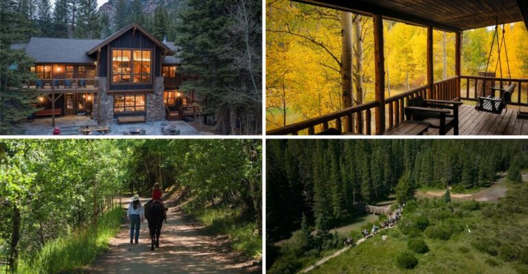 Wake Up To Elk Grazing Outside Your Window At This Remote Colorado Mountain Lodge