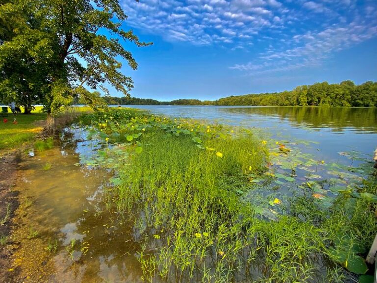 Cast A Line From The Pier At Hardy Lake, A Quiet Reservoir Ringed By Wooded Trails Near Scottsburg, Indiana
