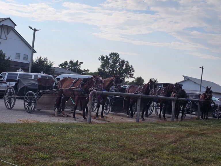 Wander Through 8 Of Indiana’s Most Charming Amish Towns For A Slow, Relaxing Day Trip
