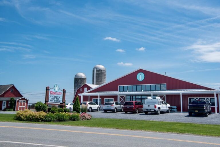 This New York Dairy Bottles Its Own Milk and Scoops Homemade Ice Cream With the Herd in View