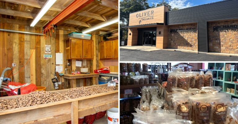 Seven Texas Pecan Spots Where You Can Buy Pecans This Fall