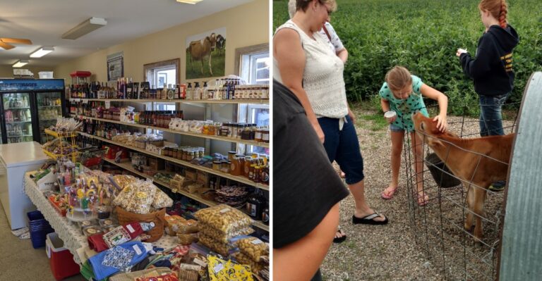 This Family-Run Iowa Farm Bottles Milk From Grass-Fed Cows and Churns Ice Cream Worth the Drive