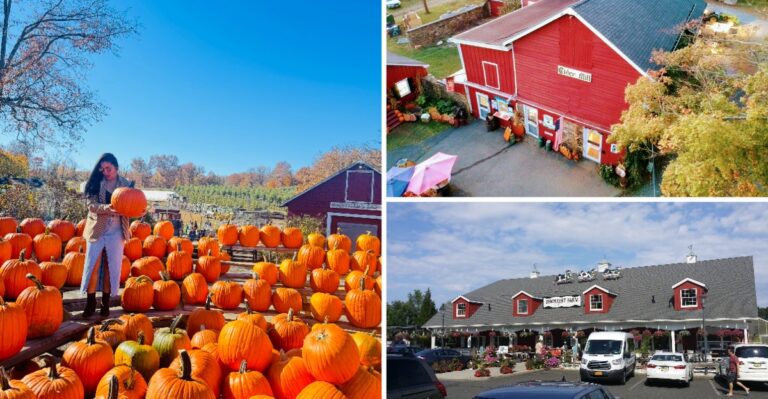 Pumpkin Everything Fills The Shelves At These 8 New Jersey Farm Bakeries Right Now