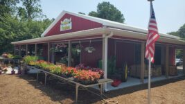 Here Are 7 Maryland Roadside Produce Stands Where The Sweet Corn And Tomatoes Sell Out By Noon
