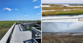 Wander The Free Trails And Boardwalks At This Wildlife Refuge In Galloway, New Jersey
