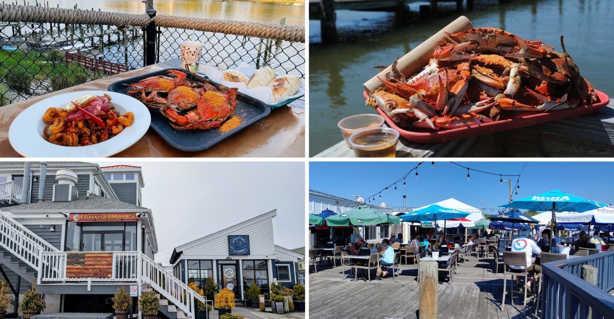 Where Should You Get Steamed Crabs Tonight? These 8 Maryland Crab Houses Never Disappoint