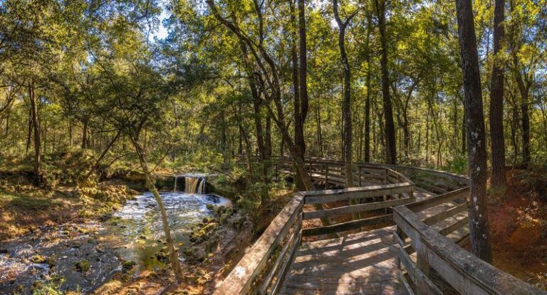 This Florida Waterfall Drops Over a Limestone Ledge Into a Ravine Just a Short Boardwalk From the Parking Lot