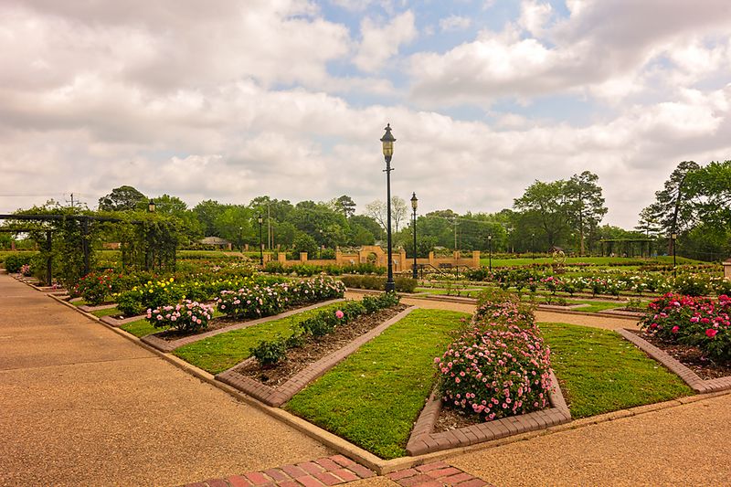 What Makes Tyler’s Rose Garden Worth The Drive Is The Fall Bloom Nobody Expects