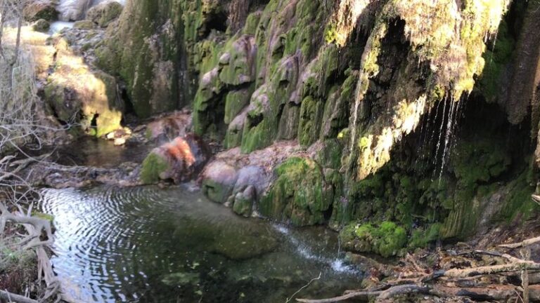 This Texas Waterfall Tumbles Over a Moss-Covered Travertine Cliff at the End of a Rugged Hill Country Hike